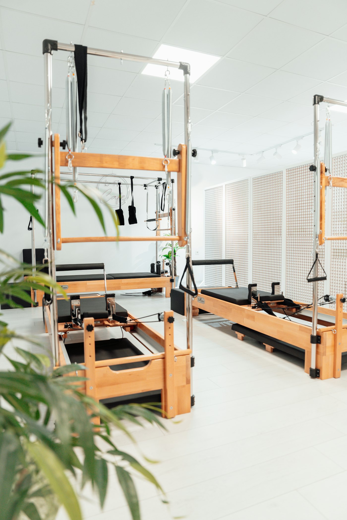 A reformer beside a plant in the corner of the studio.